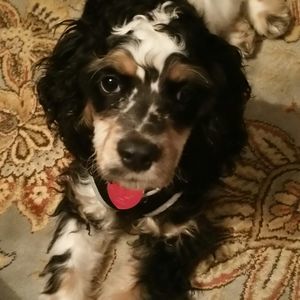 Meet your Posher, Catherine